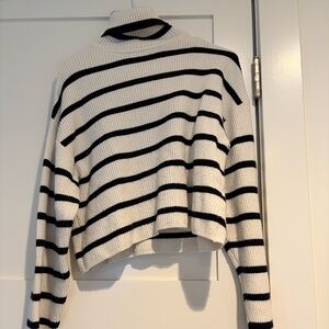 Zara striped turtleneck